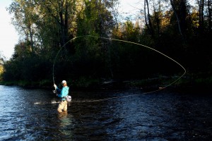 Spey Casting